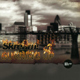 Skream! - Burning Up