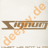 Signum - What Ya Got 4 Me