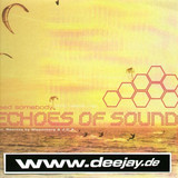 Echoes Of Sound - Need Somebody