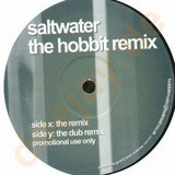 Saltwater - The Hobbit Rmx