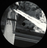 Vivian Koch - Insomiami