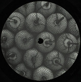 Forest Drive West - Parallel Space EP