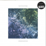 COMIT - An Ocean Of Thoughts