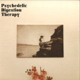 Psychedelic Digestion Therapy - Psychedelic Digestion Therapy