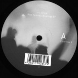 DC Salas - The Beautiful Feelings EP