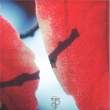 Tal Fussman - The Fine Line in Between LP 2x12"