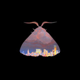 Chairlift - Moth Lp