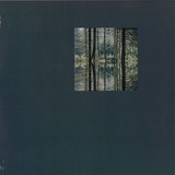 Modeste - Absurd Memories - 2x12"
