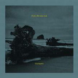Peter Broderick - Partners