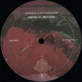Eduardo De La Calle Feat. Mtheorem - Singing Of Liberation