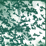 Volte-face - Murmuration