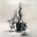 You're Me - Plant Cell Division LP 2x12"