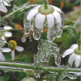 nthng - Earthseed EP