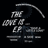 Nookie - The Love Is...EP