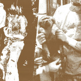 Nocturnal Emissions - Accumulator