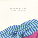 Spectrasoul - Shelter Ft. Lily Mckenzie