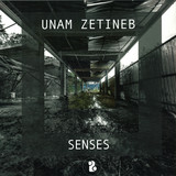 Unam Zetineb - Senses Ep