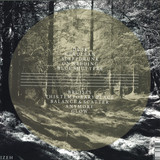 Shield Patterns - Mirror Breathing