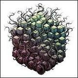 Tesseract - Errai