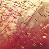 Secret Pyramid - Two Shadows Collide