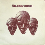 Blackbush - Flood