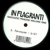 In Flagranti - Skematic Tracks Volume One