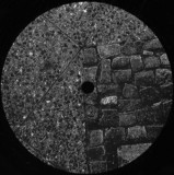 Edvin Wikner - Skritt