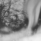 Forest Management - Below Sky