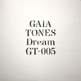 Gaia Tones - Dream LP
