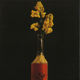 8TT8 - Camadanger LP 2x12"