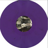 Various - Illegal Alien XVI Years Vol 8