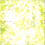 OCEAN MOON - WAYS TO THE DEEP MEADOW