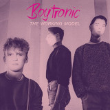 BOYTRONIC - THE WORKING MODEL LP 2x12"