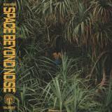 not even noticed - space beyond noise LP