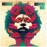 Incognito - Amplified Soul