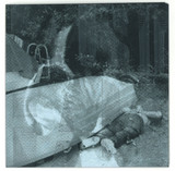 Haust - Fall 7"