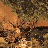 Toy Bizarre - Kdi Dctb 180