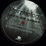 Morphology - Lack Of Light