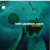 Terry Lee Brown Jr - Soul Digits