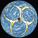 The Pilotwings - Psytube