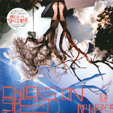 Chicks On Speed - Press The Spacebar 2x12"