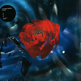 Teengirl Fantasy - Tracer