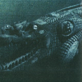 Rainforest Spiritual Enslavement - Black Magic Cannot Cross Water