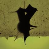 Jungstötter - Sustained LP