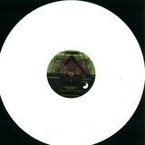 Carlo Boselli - Carbonio 14 / Enzima