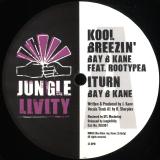 Bay B Kane, Rootypea - Kool Breezin EP