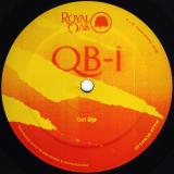 QB-1 - Pulse Works