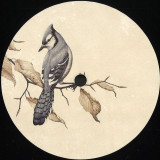 Leif - Nour & Light EP