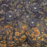 Arandel - Solarispellis (lp+mp3)