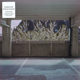 Darkstar - Foam Island (lp+mp3)